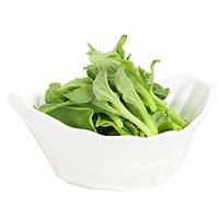 芬果时光 新鲜冰草菜水晶菜 1.5斤装