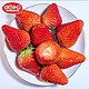  甜莓小康  丹东特产九九红颜草莓  精选大果 3斤　