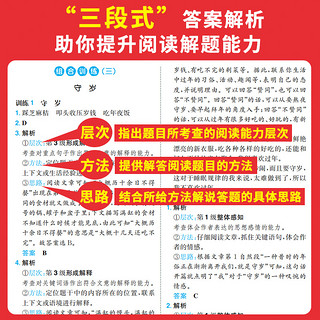 2022一本阅读题 一本小学语文寒假阅读二三四年级 一本寒假训练 三年级寒假语文作业寒假阅读训练 寒假28天打卡每日一练 五年级语文寒假阅读