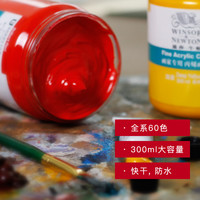 温莎·牛顿 WINSOR＆NEWTON温莎牛顿画家专用丙烯颜料防水纺织墙绘套装300ml12色24色36色流体画学生初学者金色钛白色美甲BJD娃娃diy鞋 300ml 荧光蓝
