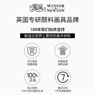 温莎·牛顿 WINSOR＆NEWTON温莎牛顿画家专用丙烯颜料防水纺织墙绘套装300ml12色24色36色流体画学生初学者金色钛白色美甲BJD娃娃diy鞋 300ml 银色
