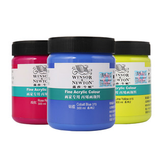 温莎·牛顿 WINSOR＆NEWTON温莎牛顿画家专用丙烯颜料防水纺织墙绘套装300ml12色24色36色流体画学生初学者金色钛白色美甲BJD娃娃diy鞋 300ml 银色