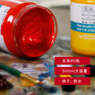 温莎·牛顿 WINSOR＆NEWTON温莎牛顿画家专用丙烯颜料防水纺织墙绘套装300ml12色24色36色流体画学生初学者金色钛白色美甲BJD娃娃diy鞋 300ml 银色