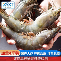 虾有虾途 国产青岛大虾毛重4斤装 青虾鲜虾海虾基围虾鲜冷冻生鲜 虾类已核酸检测  健康轻食 4斤装（水冻大虾） 14-16厘米(90%客户选择加量4斤装) 加量4斤装（推荐 虾更多） 14-16厘米(90%客户选择加量4斤装)