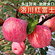 陕西洛川红富士苹果时令新生鲜水果脆甜冰糖心 10斤80~85mm彩箱礼盒带箱约10斤