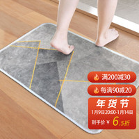 嘉瑞宝(JRB) 卫生间吸水地垫浴室防滑垫门口进门门垫家用垫子厕所脚垫卧室地垫40*60cm 阿尔卑斯