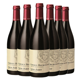 路易亚都世家 勃艮第山丘干型红葡萄酒 6瓶*750ml套装