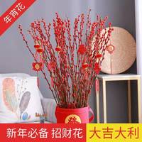 京鹤 年宵花银柳七彩银柳干花真花鲜枝水培花卉易活植物柳枝室内装饰花 红银柳20支