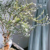 银柳真花年宵花客厅水培鲜花植物水养花卉室内干花鲜枝装饰花 雪柳80厘米高10支+3灯笼 不含盆