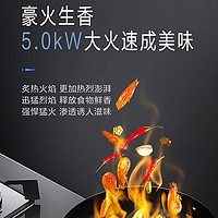 Midea 美的 天然气灶5.0KW双灶大火力家用猛火燃气灶具一级能效液化气Q218B