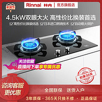 Rinnai 林内 燃气灶2E02M家用双灶灶具烈焰聚火熄火保护钢化玻璃