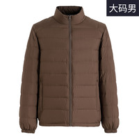 雪中飞 SNOWFLYING男式大码羽绒服春秋简约宽松版型挺括立领轻薄秋短款羽绒服男