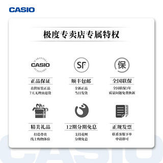 Casio官方正品卡西欧电子词典E-R300日本旅游留学生翻译机大学考研er300日语练习查词电子辞典学习机辅助神器