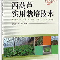 西葫芦实用栽培技术