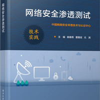 网络安全渗透测试 苗春雨