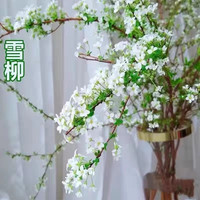 银柳真花鲜枝年宵花水养客厅阳台观花植物花卉银柳干花室内装饰花 雪柳80厘米高10支+3灯笼 不含盆