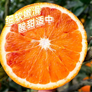 盒马 FRESHIPPO资中塔罗科血橙2斤起精品果当季新鲜时令水果橙子手剥橙包邮