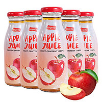 Legent 良珍 西班牙进口良珍苹果汁100％纯果汁饮料饮品250ml×6瓶整箱装