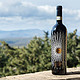 Luce 麓鹊 酒庄布鲁奈罗托斯卡纳干型红葡萄酒 750ml