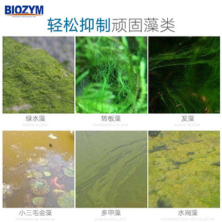 BIOZYM 百因美 硝化细菌液体水族药剂鱼缸用品水质净化N1活性消化细菌150ML 除藻剂350mL