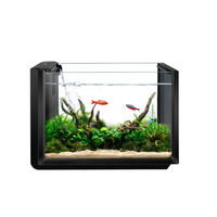 德邦 Depontaqua(百因美系列) 鱼缸超白玻璃 小型水族箱造景水草缸 客厅卧室办公桌生态鱼缸 吉利红带灯 炫酷黑裸缸 32*22*18CM