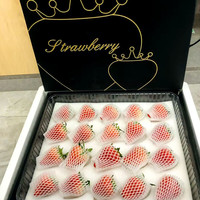丹东99草莓3斤新鲜水果 现摘九九红颜牛奶油草莓空运直达年货礼盒 3斤暖心装 草莓-2斤特大果黑金礼盒
