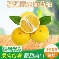 SOUTH GIRLS 南方姑娘 黄金葡萄柚子新鲜平和西柚超甜新鲜水果整箱大果包邮