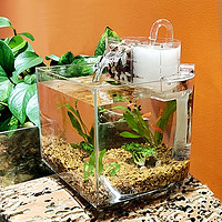 燕之雁 桌面小型生态鱼缸 长20.8cm 配过滤设备+滤材+鱼缸盖 免换水鱼缸