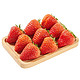 PLUS会员：甜莓小康  丹东草莓大果 3斤 （净重2.8斤）