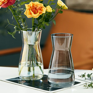 若花 北欧ins玻璃花瓶透明水养干鲜花富贵竹百合插花轻奢网红客厅摆件