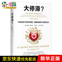 大停滞(科技高原下的经济困境美国的难题与中国的机遇)(精)