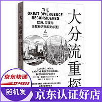 大分流重探(欧洲印度与全球经济强权的兴起)/经济史与思想史丛书