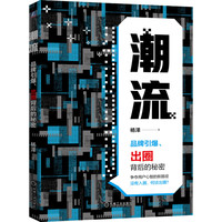 潮流:品牌引爆、出圈背后的秘密 杨泽