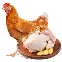 睿农 鸡翅中1kg  冷冻鸡肉生鲜鸡翅中卤味卤煮生鲜食材 童子鸡850g