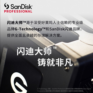 闪迪大师G-Technology移动桌面硬盘4T/6T/12T/18T3.5英寸Type-C/USB 企业级G-Drive USB-C 12TB