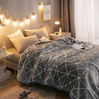 辰枫家纺 拉舍尔毛毯超柔单人双人毯子秋冬季礼品盖毯床上用品 DN 180x200cm 6斤 180x200cm 6斤 DG