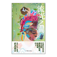 流光之翼