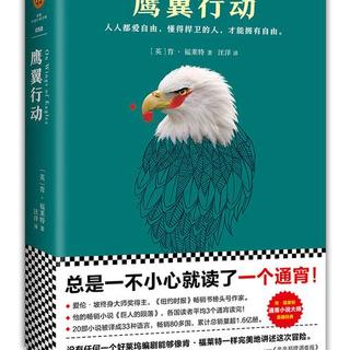 鹰翼行动