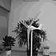  鸿沃 鸿隆 家用小型水平轴风力发电机风光互补路灯监控 300W/24V 3叶片　