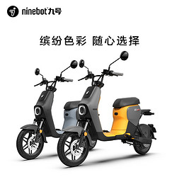 Ninebot 九号 新国标智能电动车 B110P