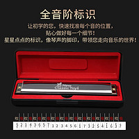 NEW CLASSIC TOYS 儿童音乐吹奏玩具乐器24孔金属口琴 节日礼物