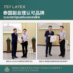 jsylatex 乳胶枕头泰国原装进口 天然橡胶枕芯护颈椎单人防螨枕头