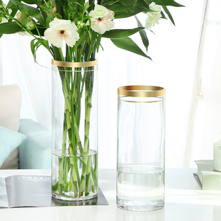 若花 轻奢特大玻璃花瓶透明水养富贵竹百合花直筒大号花瓶客厅插花摆件