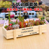 花无痕 多肉植物套装多款入门肉肉多肉盆栽多肉组合区办公室室内植物萌肉植物盆栽 精选5颗多肉 5个彩方盆 营养土 12颗多肉 木质花盆 营养土