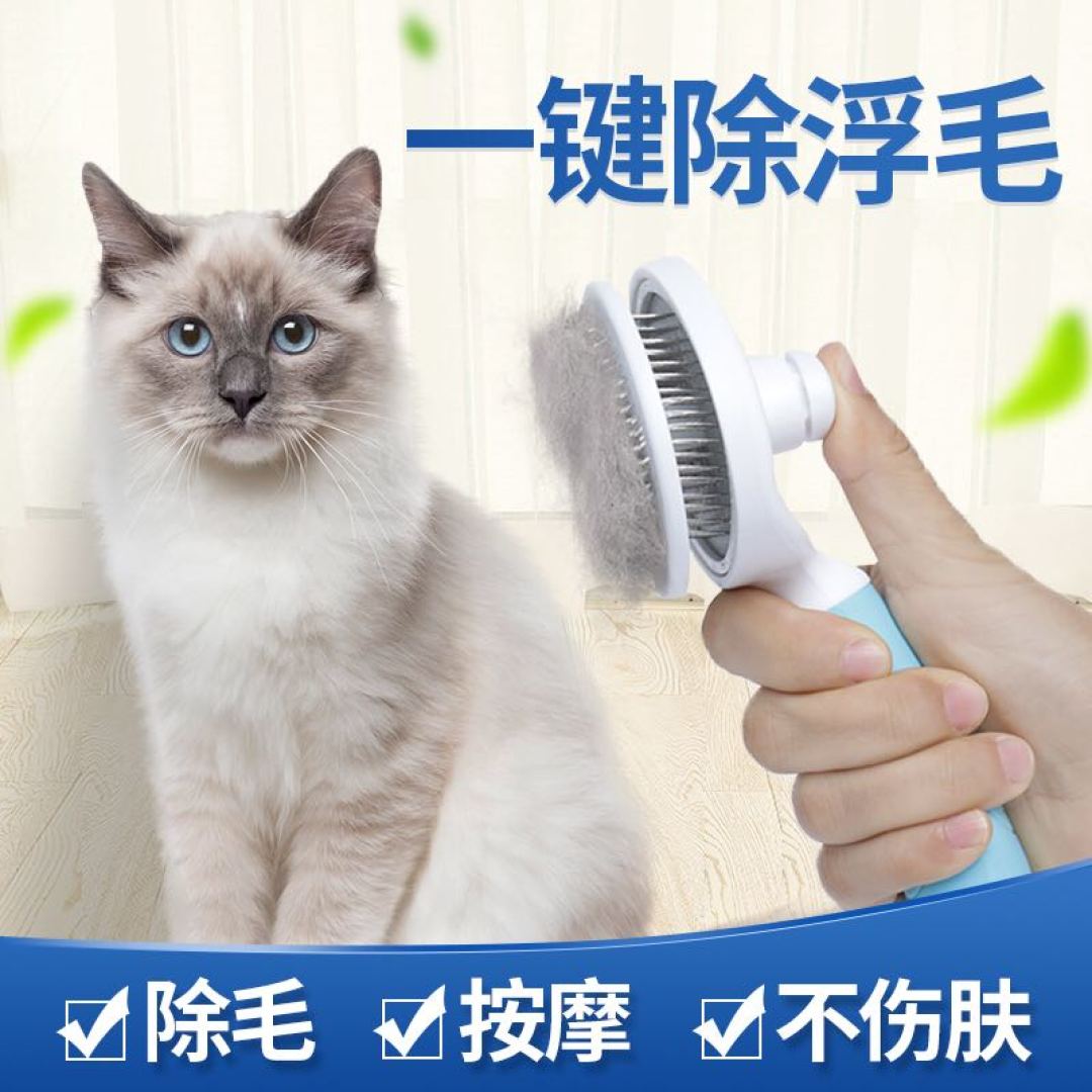 喵界女明星一般人养不起？来看养一只“颜值典范”-布偶猫的花费