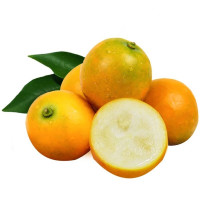 鲜滋味 广西融安脆皮金桔 精品1斤