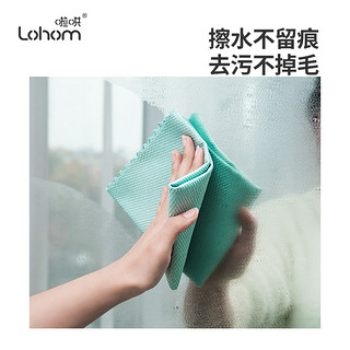 Lohom 啦哄 鱼鳞抹布 10条装 25*25cm