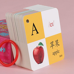 Dan Ni Qi Te 丹妮奇特 英语拼音有图识字卡片早教卡看图识字 45张