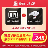 JINGDONG 京东 爱奇艺vip黄金年卡12个月+京东Plus会员年卡12个月