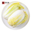 娃娃菜 新鲜小白菜农家自种当季黄牙白蔬菜整箱 1450g 2900g